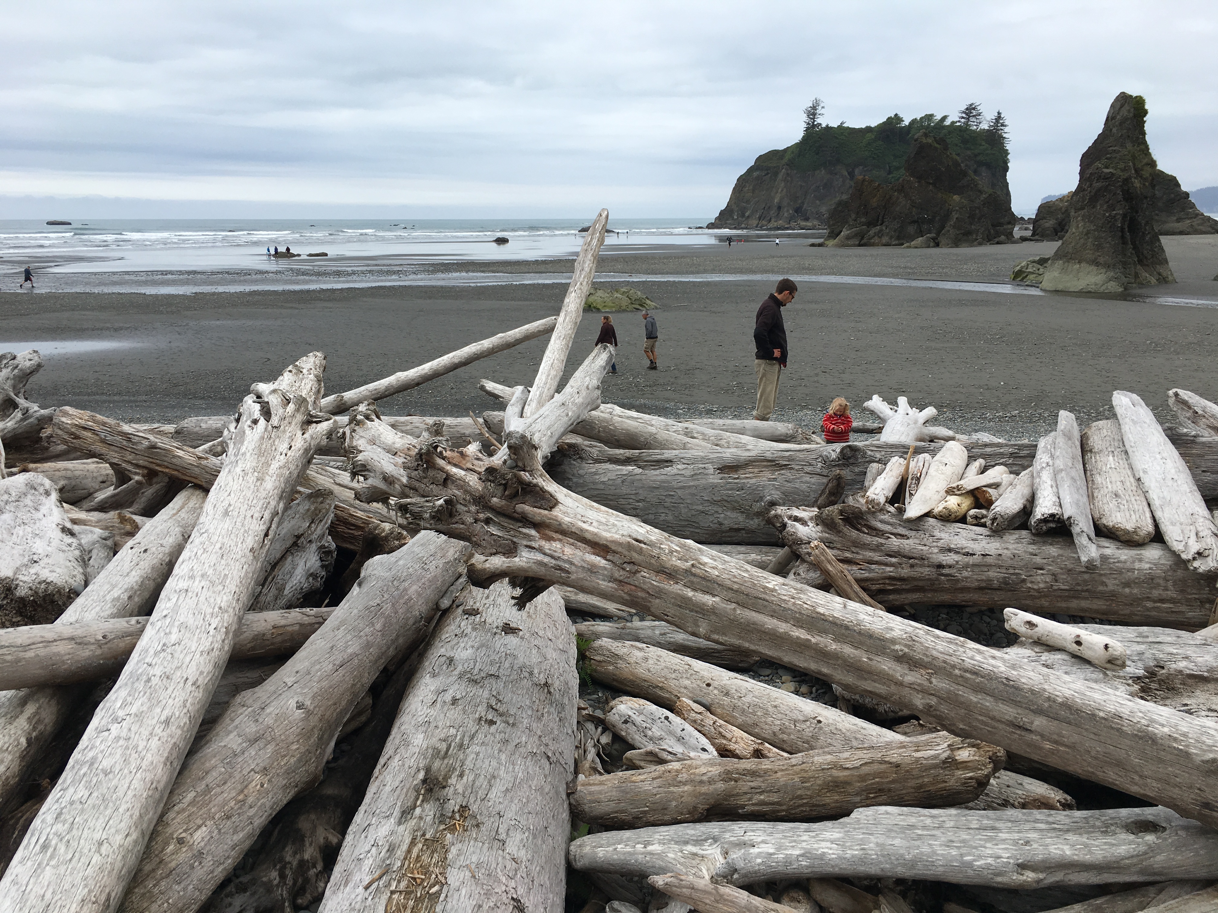 Olympic Peninsula Trip Days 14-15: Kalaloch & Ruby Beach – Wacky Wanderers