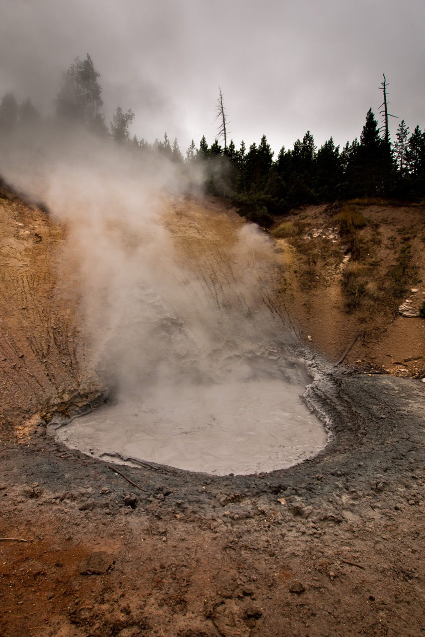 Yellowstone Day 4: Hayden Valley & Mud Volcano Area – Wacky Wanderers