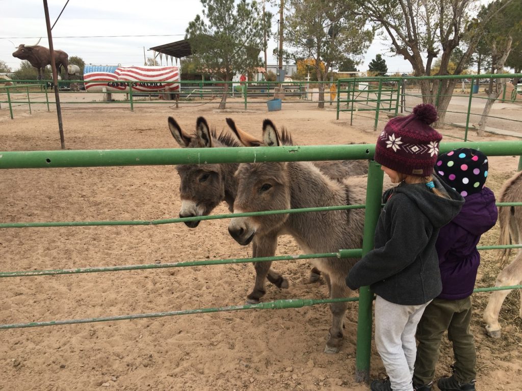 Harvest Host Dairy Farm & El Paso TX – Wacky Wanderers